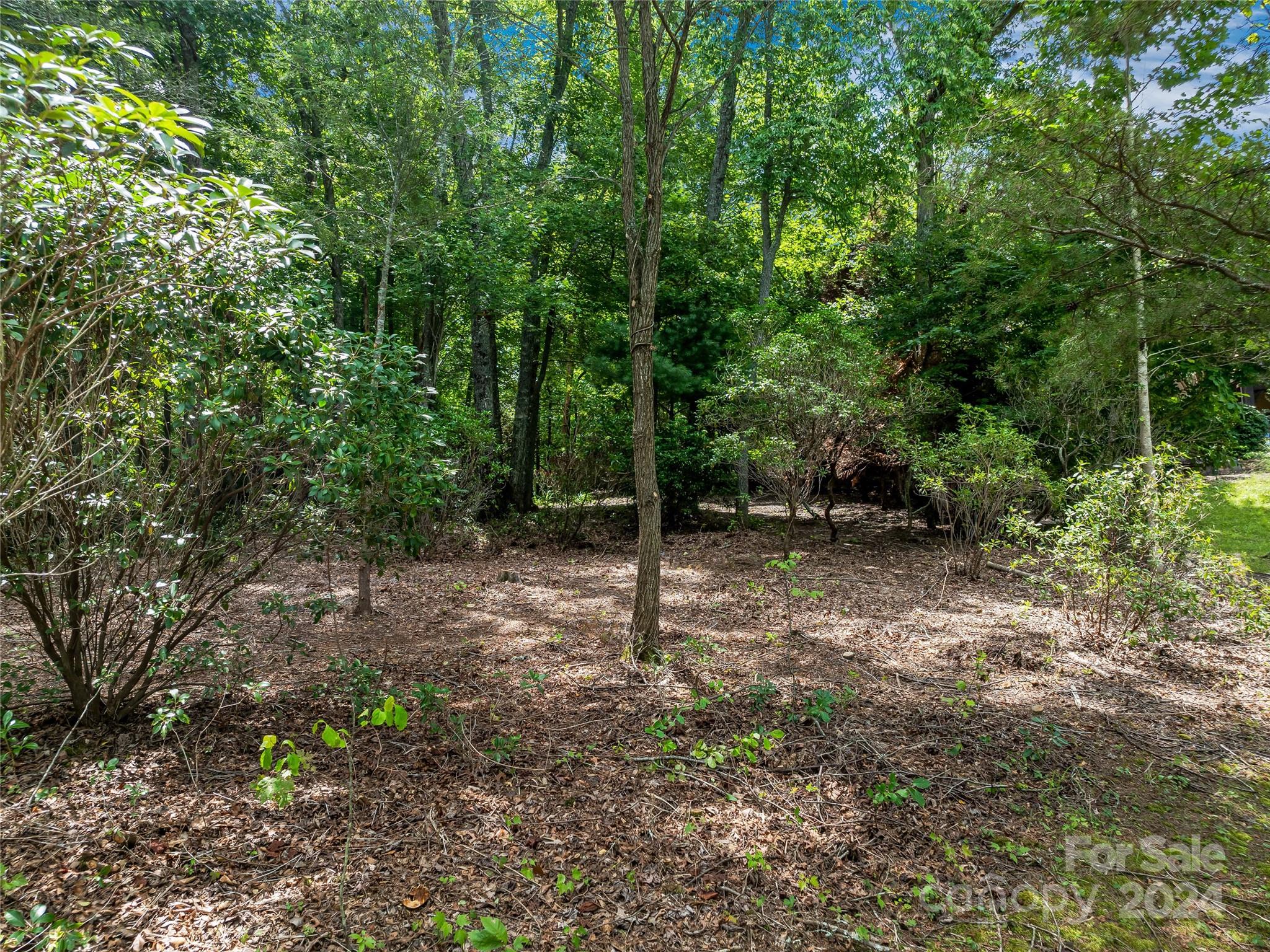 Lot at 1814 Bella Vista Court, Arden, photo 21 of 33