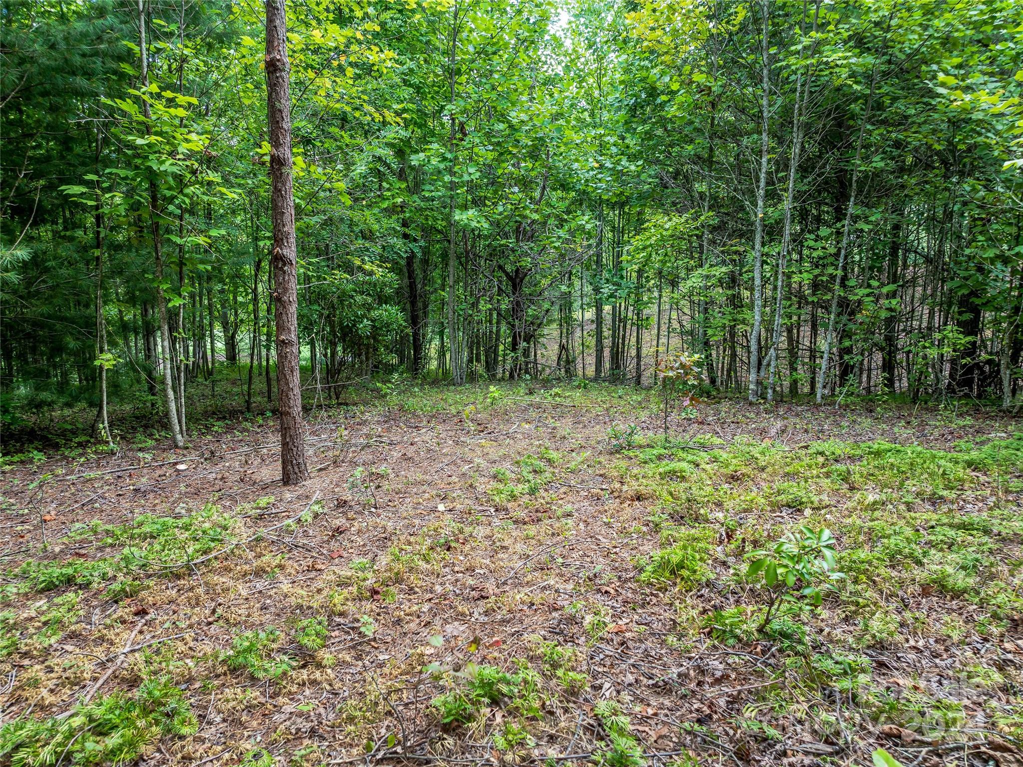 Lot at 1814 Bella Vista Court, Arden, photo 25 of 33
