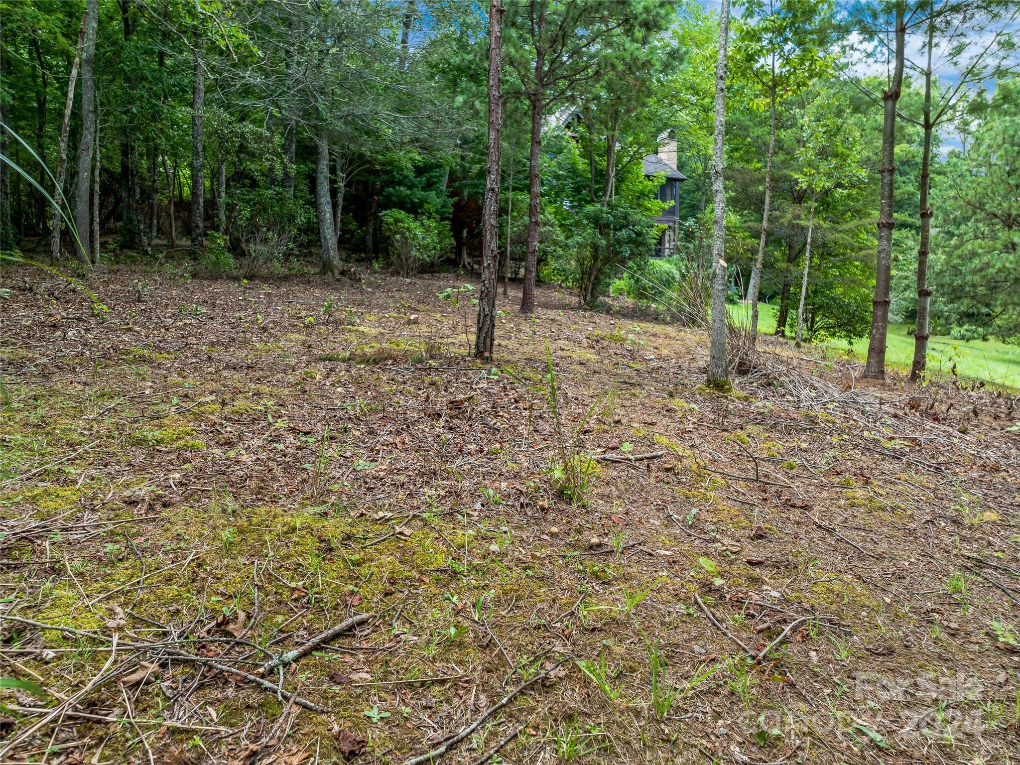 Lot at 1814 Bella Vista Court, Arden, photo 26 of 33