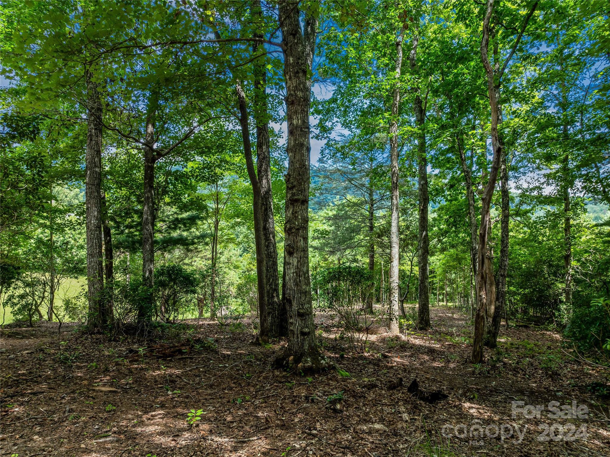 Lot at 1814 Bella Vista Court, Arden, photo 27 of 33