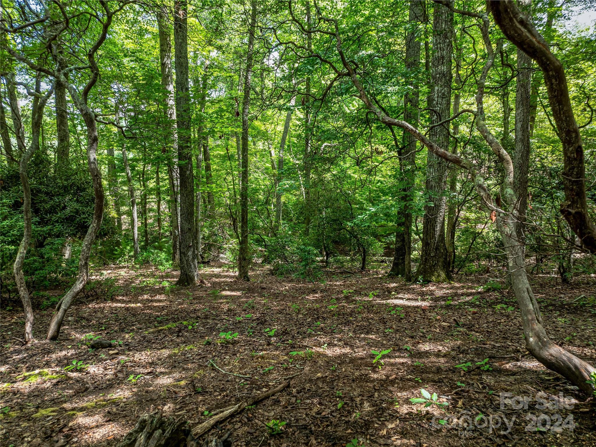 Lot at 1814 Bella Vista Court, Arden, photo 28 of 33