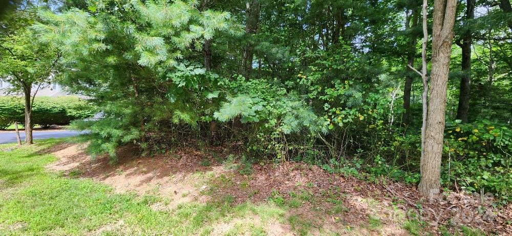 Lot at 00000 Barebridge Drive, Burnsville, photo 2 of 21