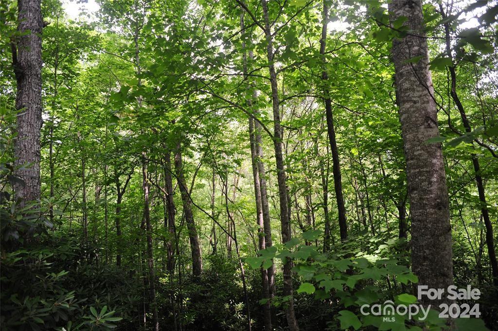 This beautiful building lot has a winter ridgeline view. - 17 Wood Haven Lane, Black Mountain