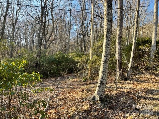 Lot at 0 E Poplar Lane, Hendersonville