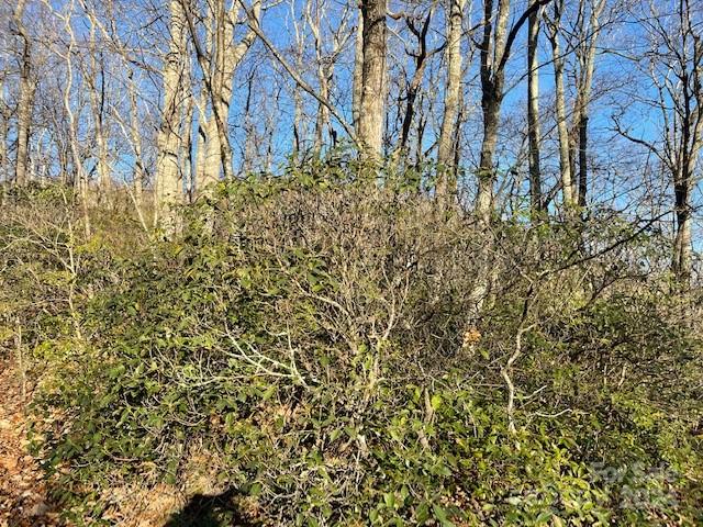 Lot at 0 E Poplar Lane, Hendersonville, photo 2 of 2