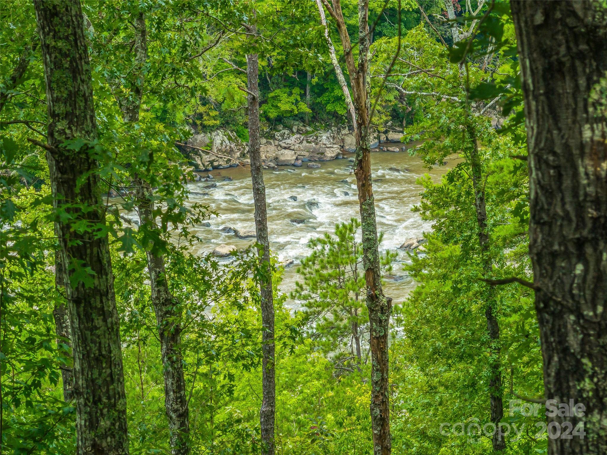 Your View from the lot to the French Broad - 4155 French Broad Parkway, Marshall
