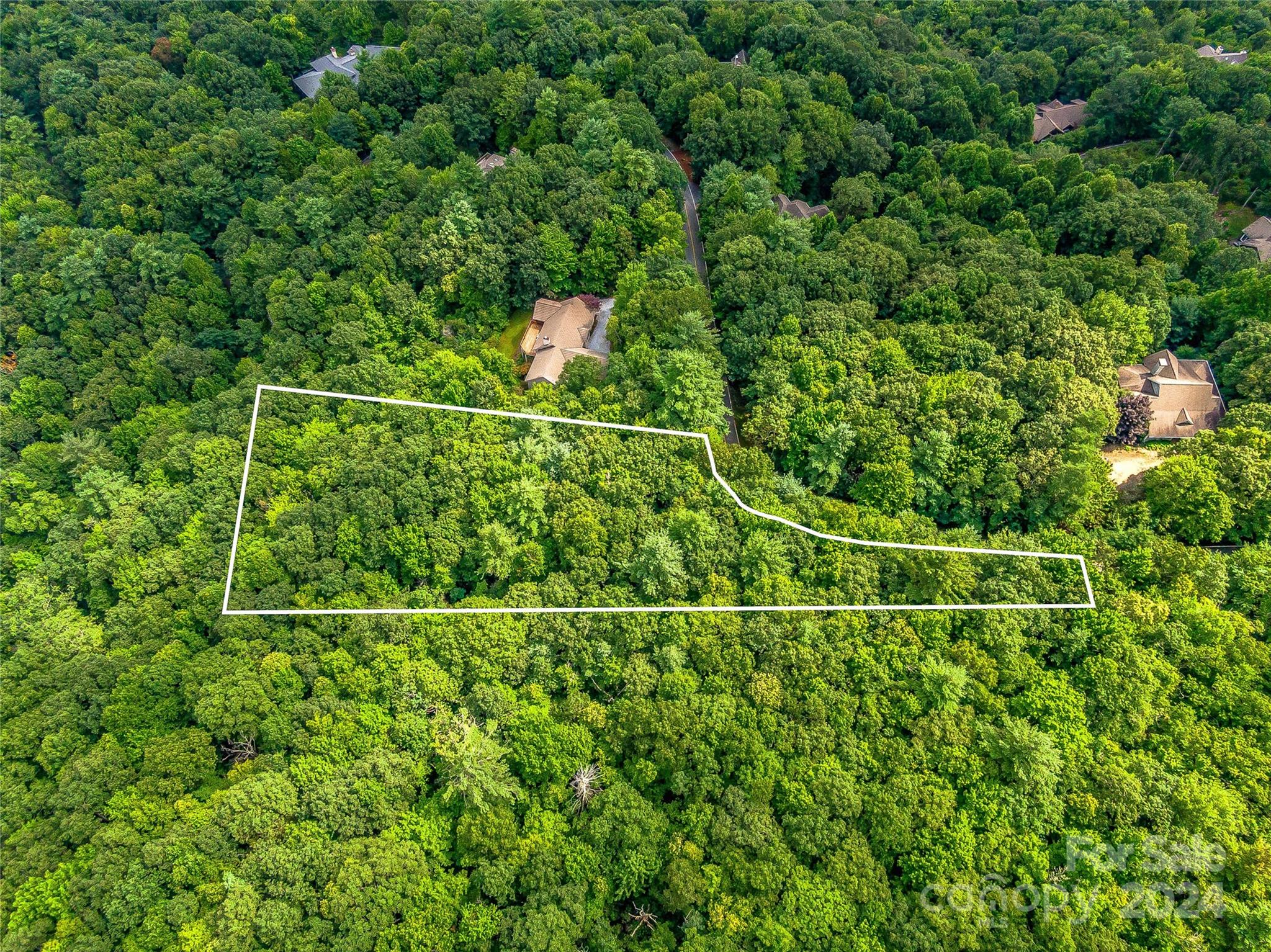 Acreage at Lot 24 Lakeside Trail, Lake Toxaway, photo 3 of 8
