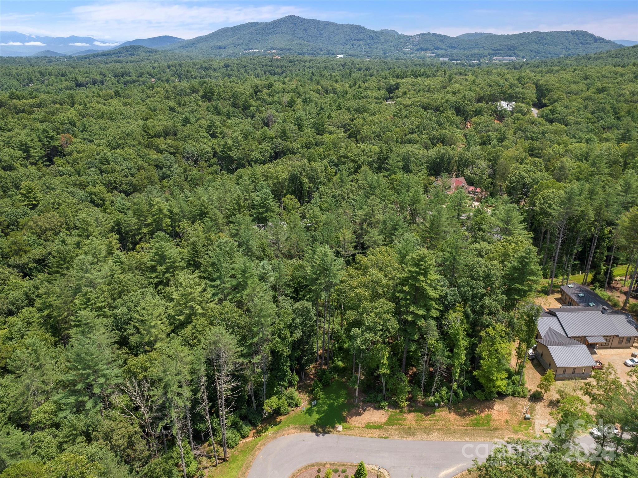 Lot at 323 Flowering Vine Court, Asheville, photo 2 of 15