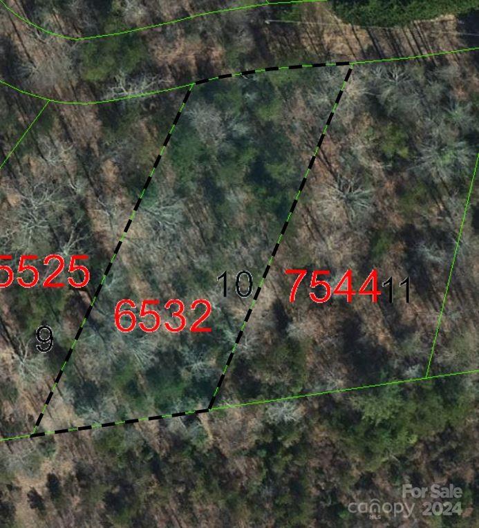 TBD Biggerstaff Loop
