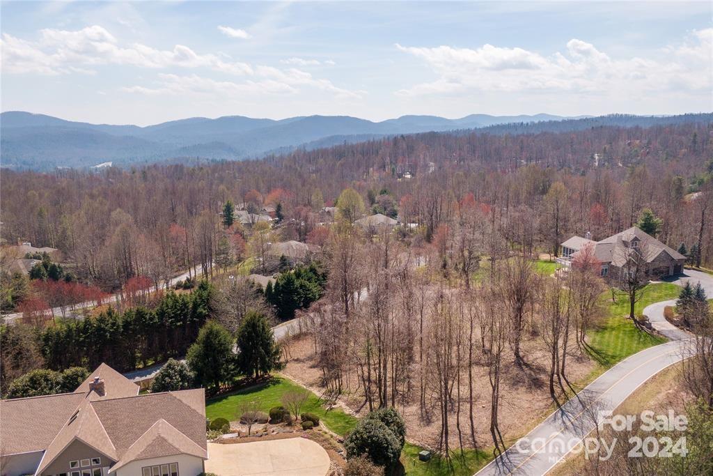 Lot at 000 BERRY CREEK Drive, Flat Rock, photo 5 of 10