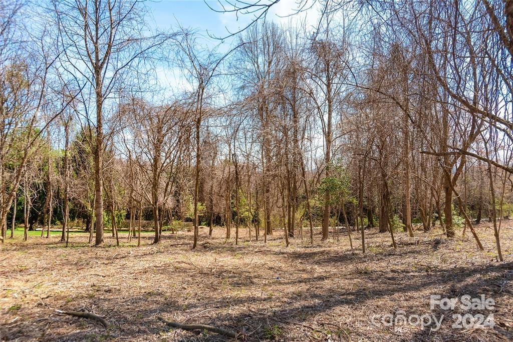Lot at 000 BERRY CREEK Drive, Flat Rock, photo 6 of 10