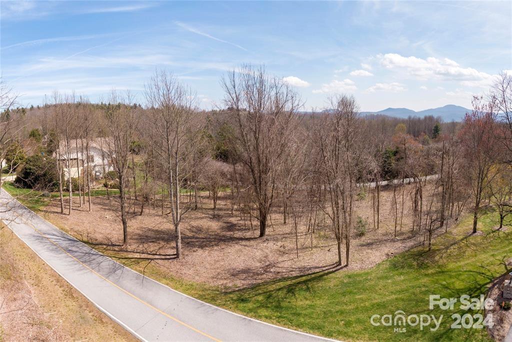 Lot at 000 BERRY CREEK Drive, Flat Rock, photo 9 of 10