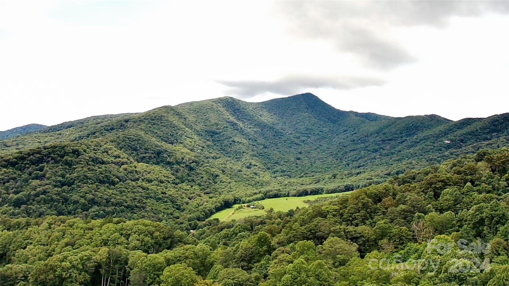 Lot at TBD Friendly Acres Drive, Waynesville, photo 2 of 34