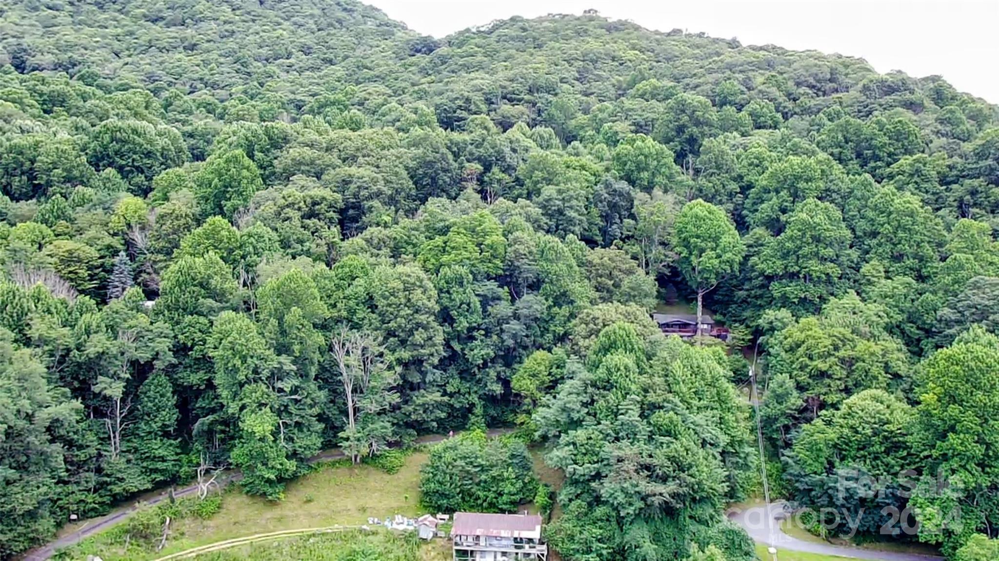 Lot at 0000 Silverleaf Circle, Waynesville, photo 2 of 28