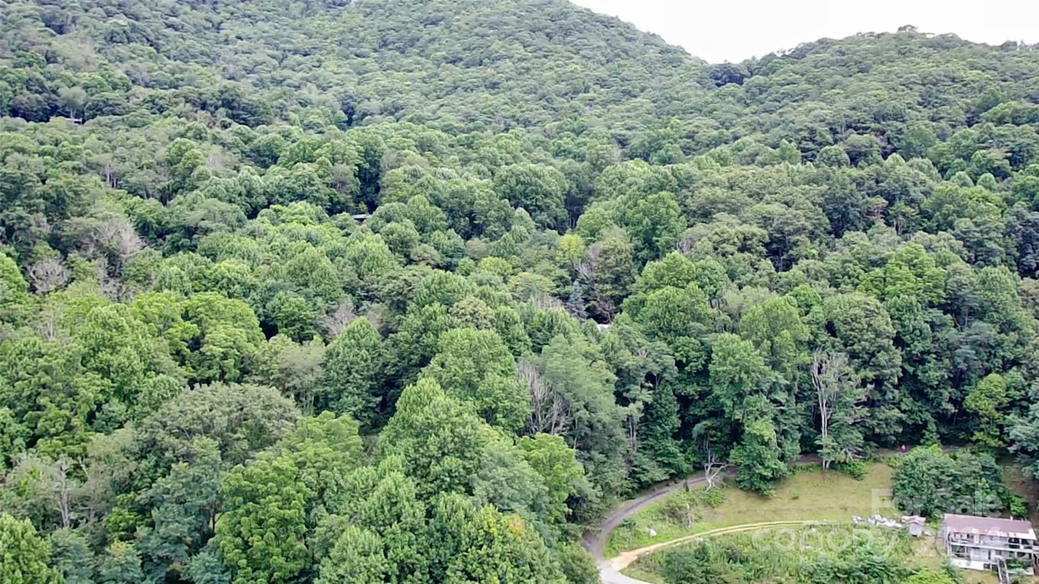Lot at 00 Friendly Acres Drive, Waynesville, photo 2 of 35