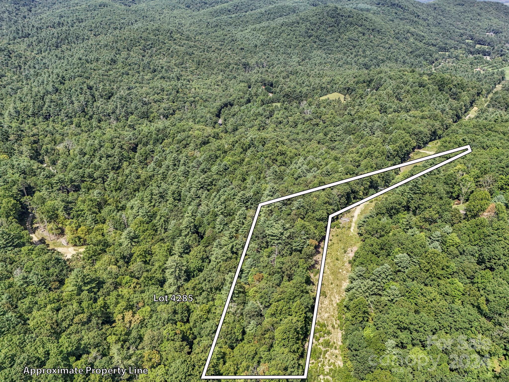 Acreage at SR1196-A Evans Road, Hendersonville, photo 2 of 6