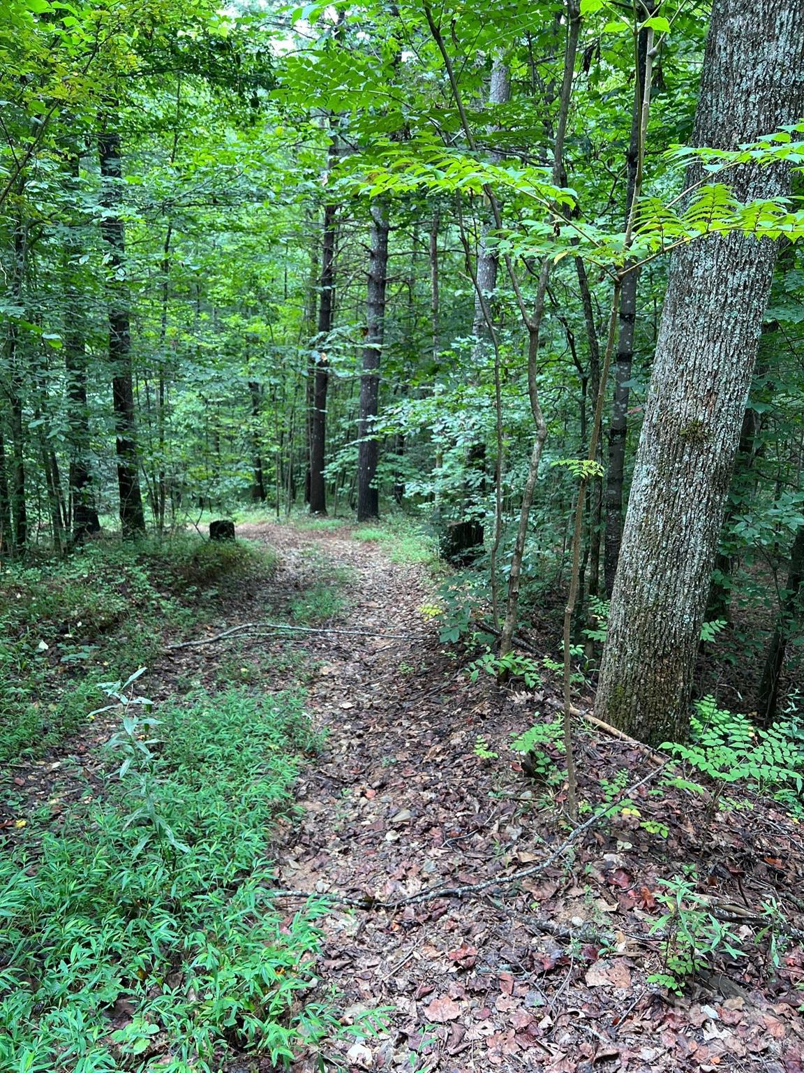645 Tunnel Road