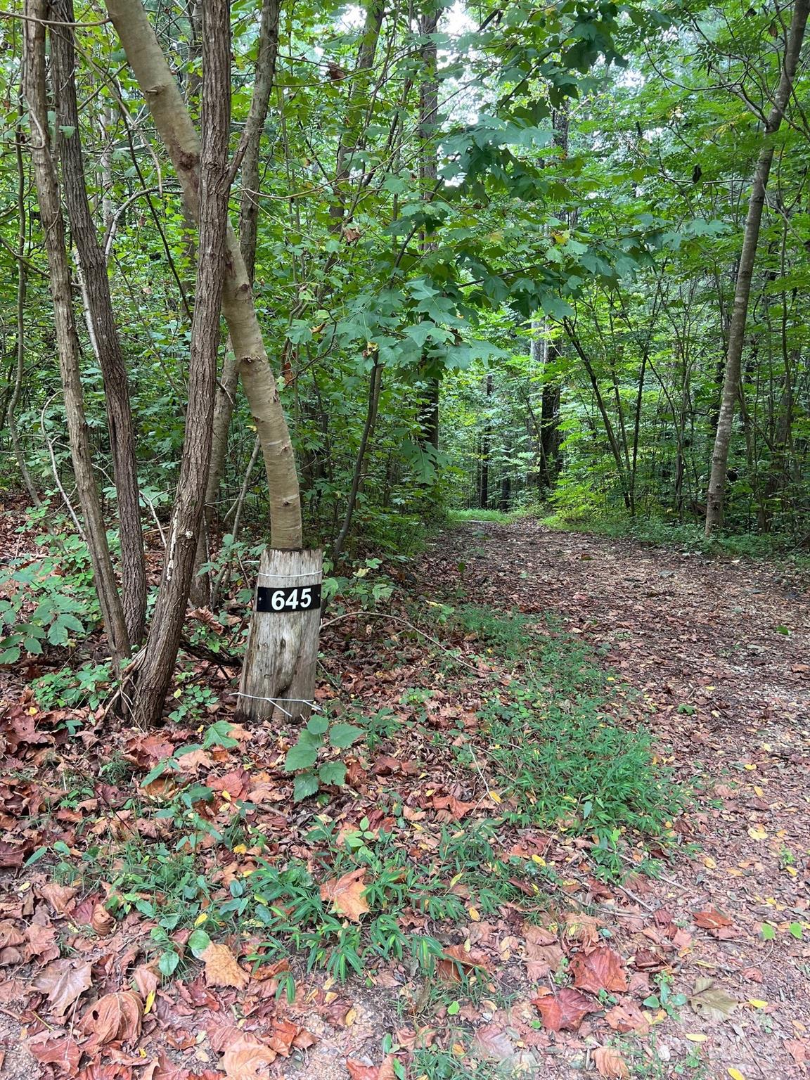 Lot at 645 Tunnel Road, Marion, photo 2 of 5