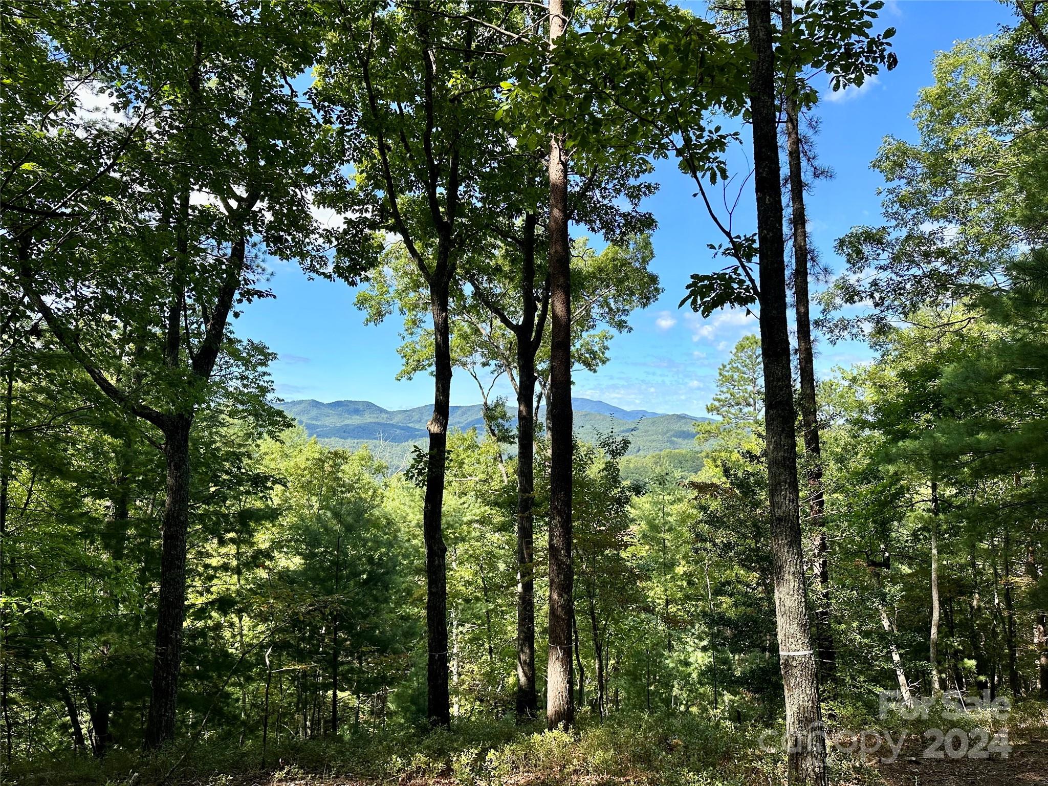 Lot at 176 Winterberry Drive, Marshall, photo 2 of 26
