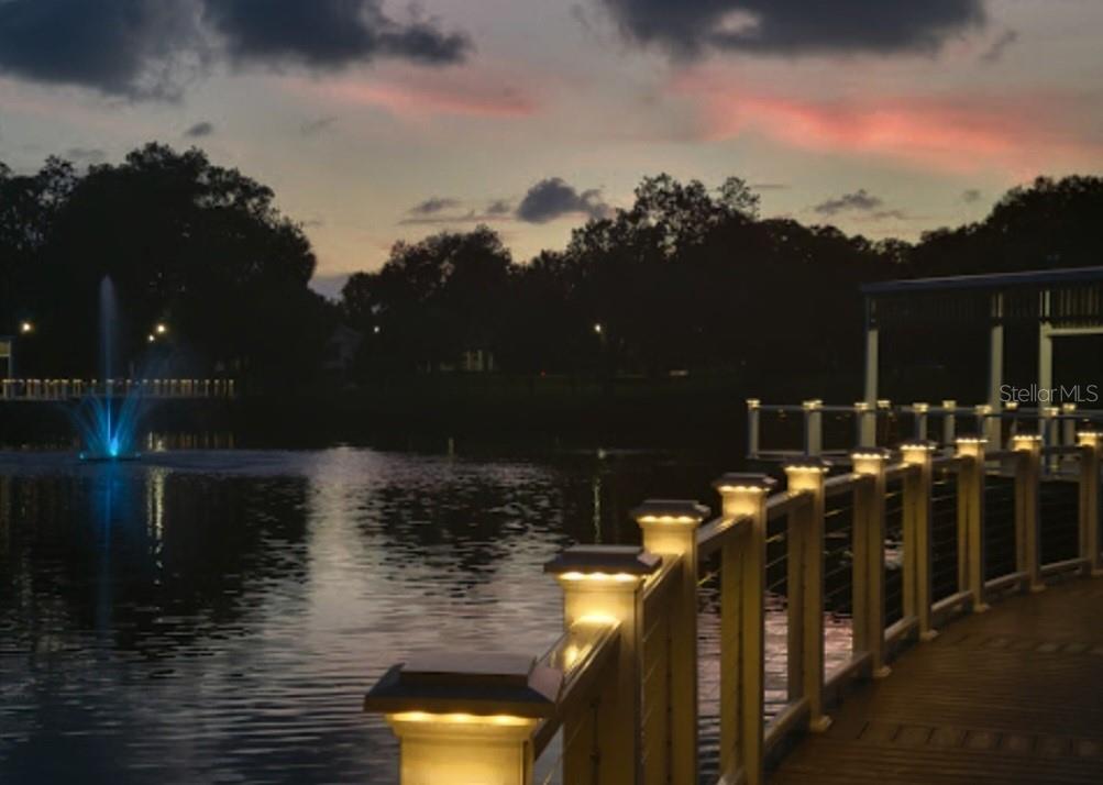 Orange Lake Sunset - 6313 OELSNER ST, NEW PORT RICHEY