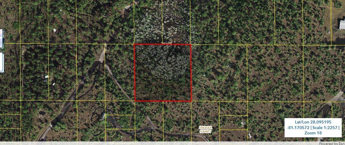 HOLOPAW GROVES RD