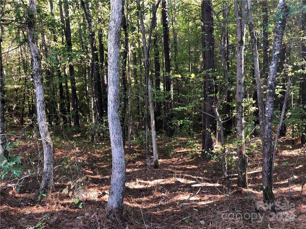 Lot - Lot 3 Rutan Court, Mooresville