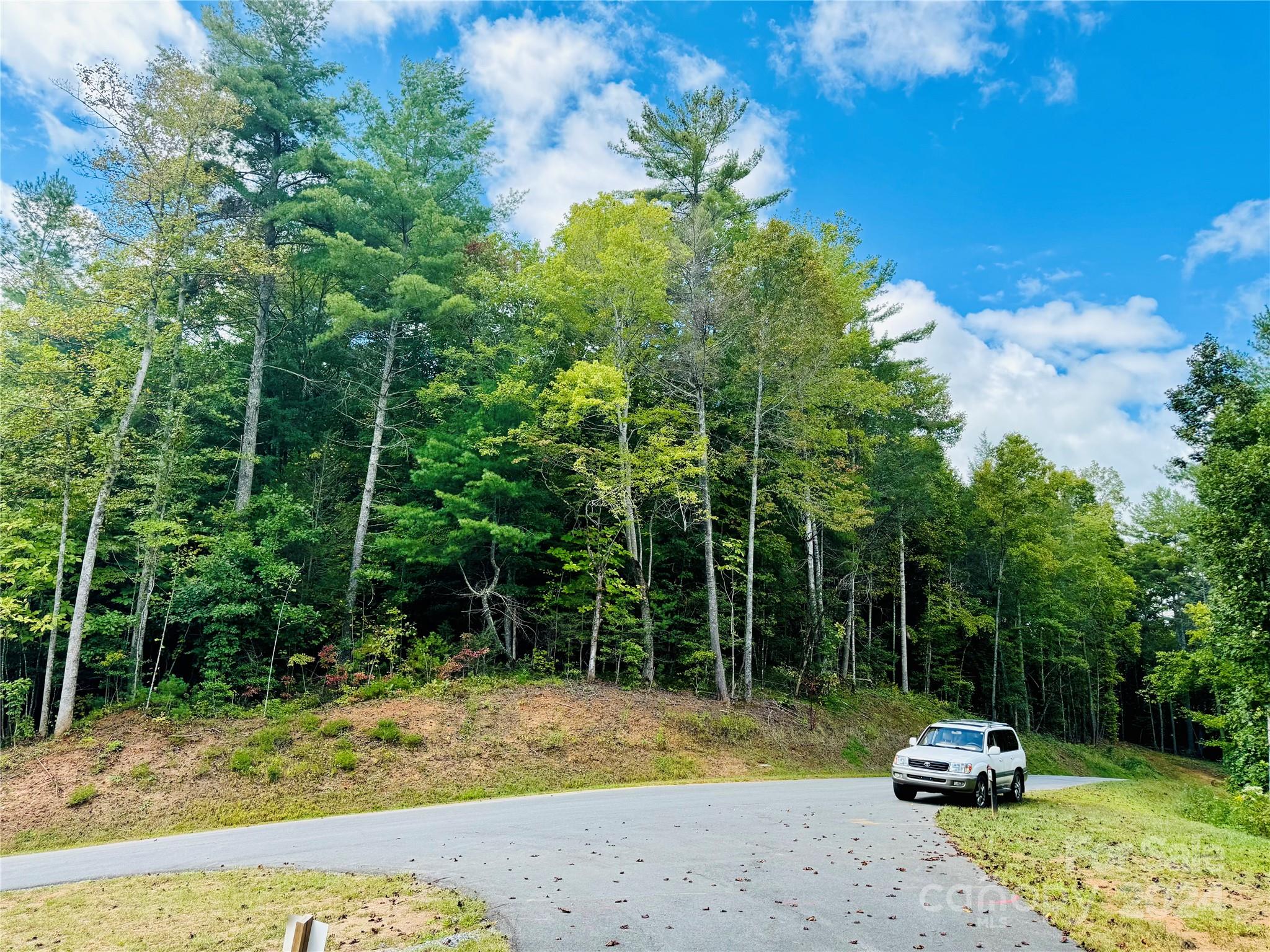 10.21, acres Lot 90 1981 Round Mountain Parkway