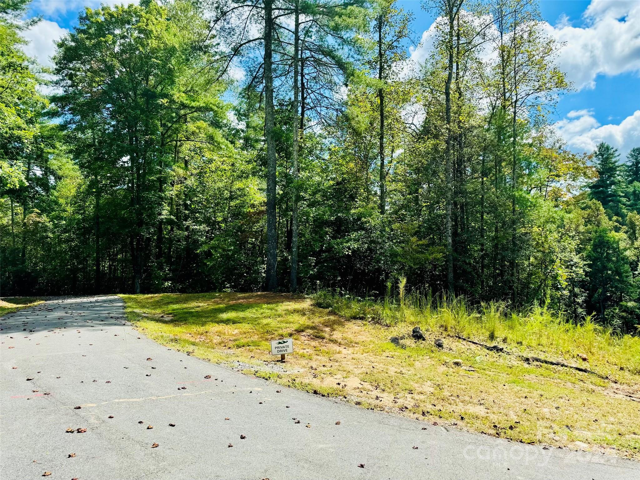 Lot at 10.21, acres Lot 90 1981 Round Mountain Parkway, Lenoir, photo 2 of 29