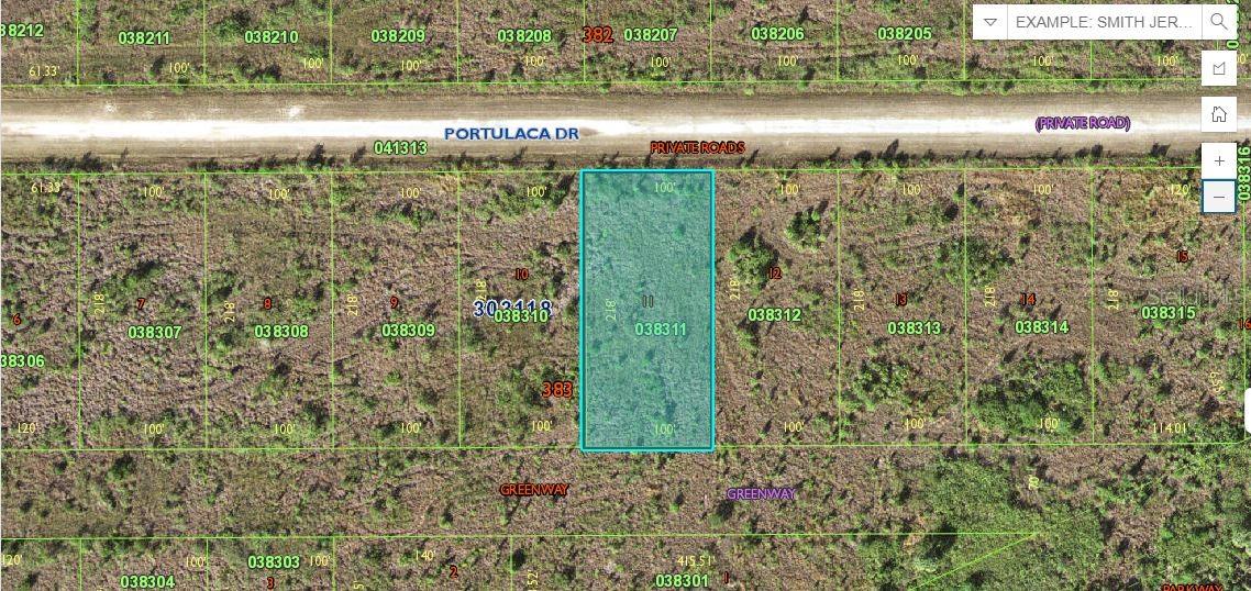 411 PORTULACA DR