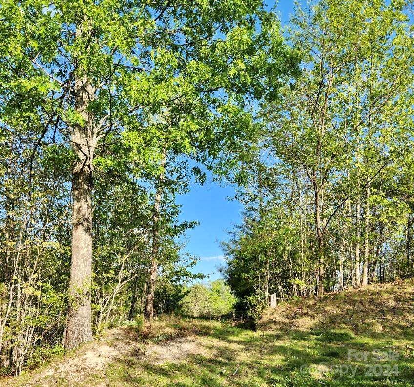 Lot at 391 Red Fox Trail, Marshall, photo 2 of 22