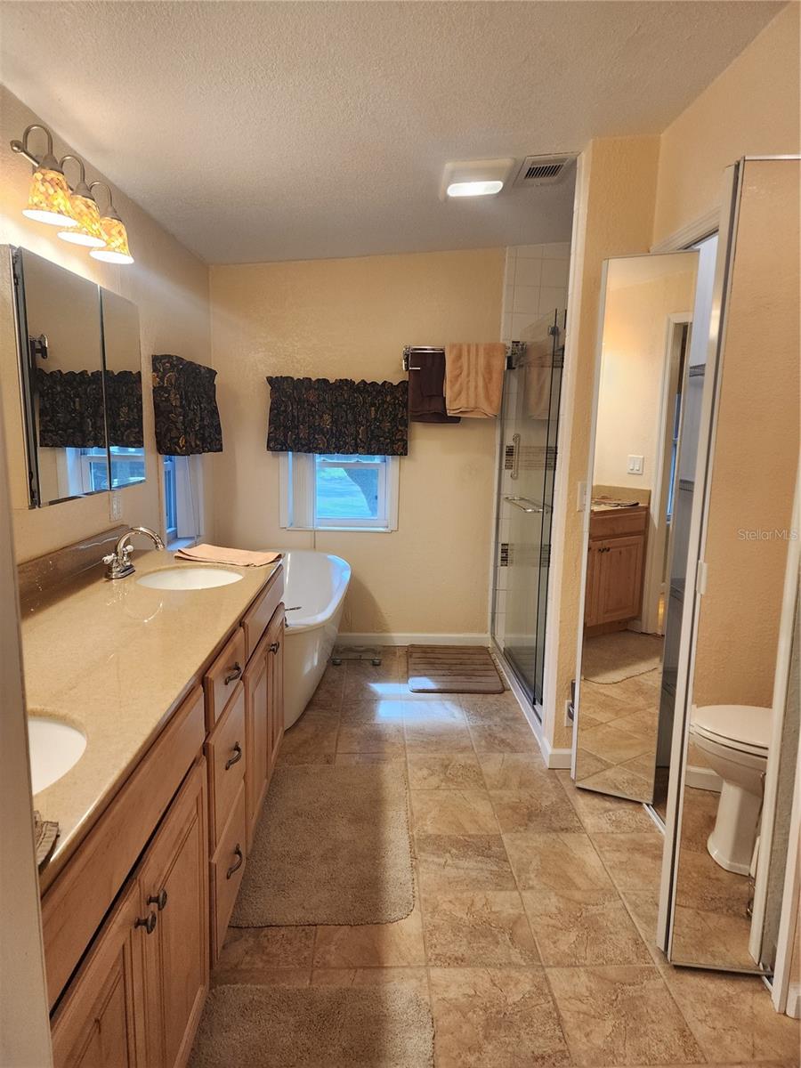 MASTER BATH - 14902 ARRENA RD, WINTER GARDEN