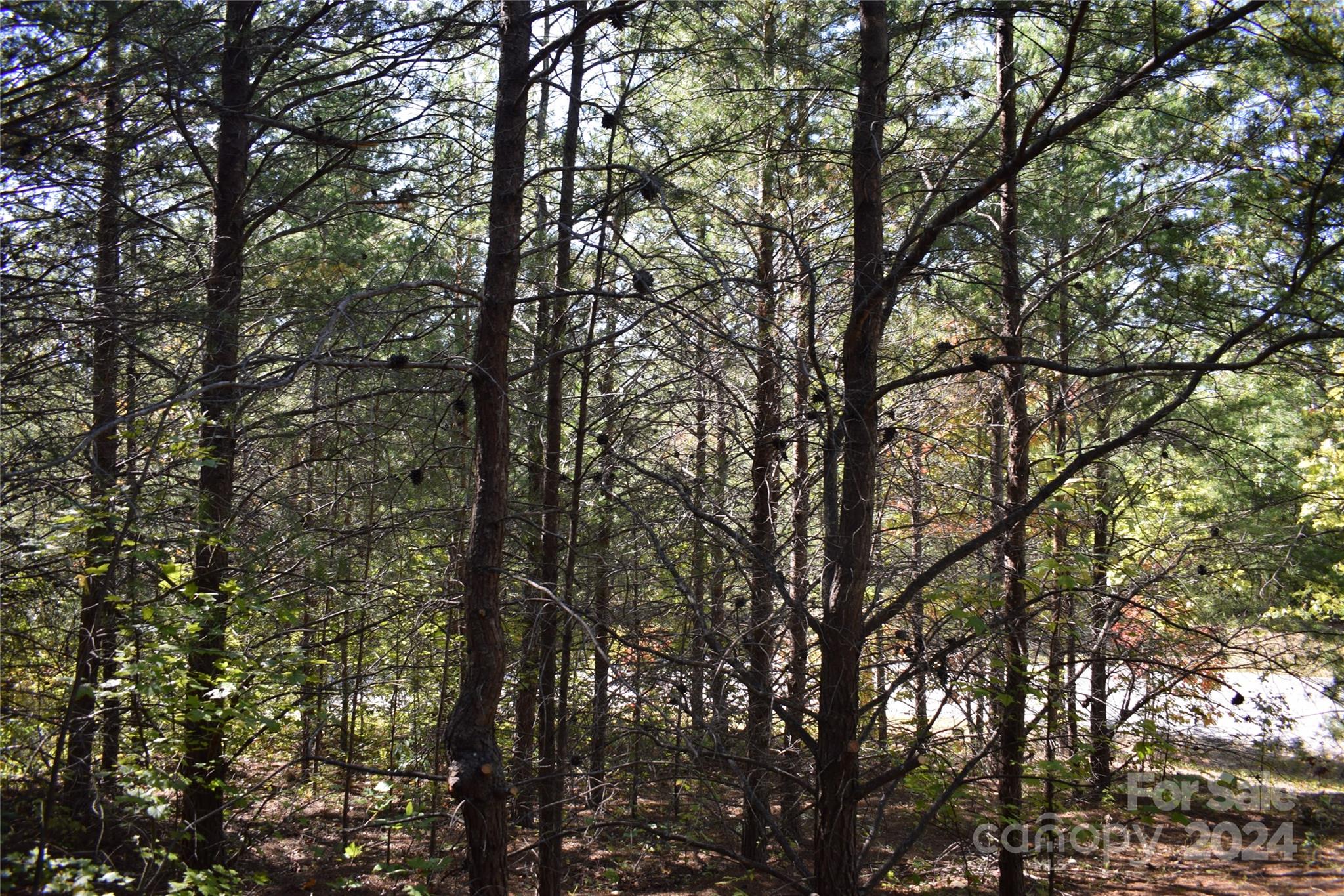 Lot at 0 Holland Drive, Columbus, photo 4 of 16