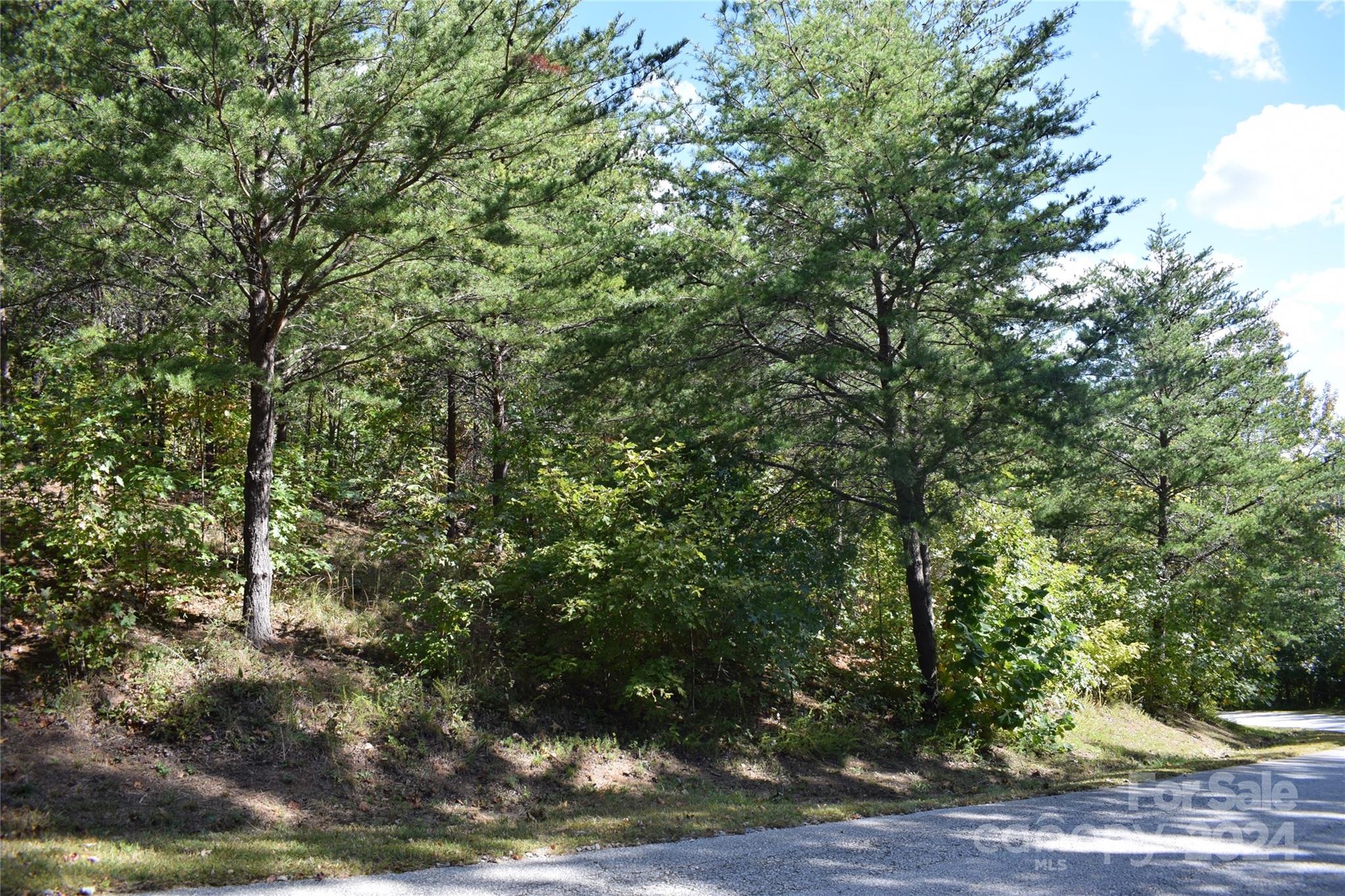 Lot at 0 Holland Drive, Columbus, photo 7 of 16