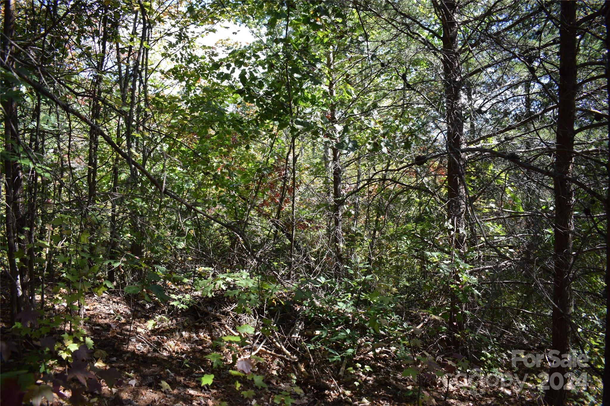 Lot at 0 Holland Drive, Columbus, photo 9 of 16
