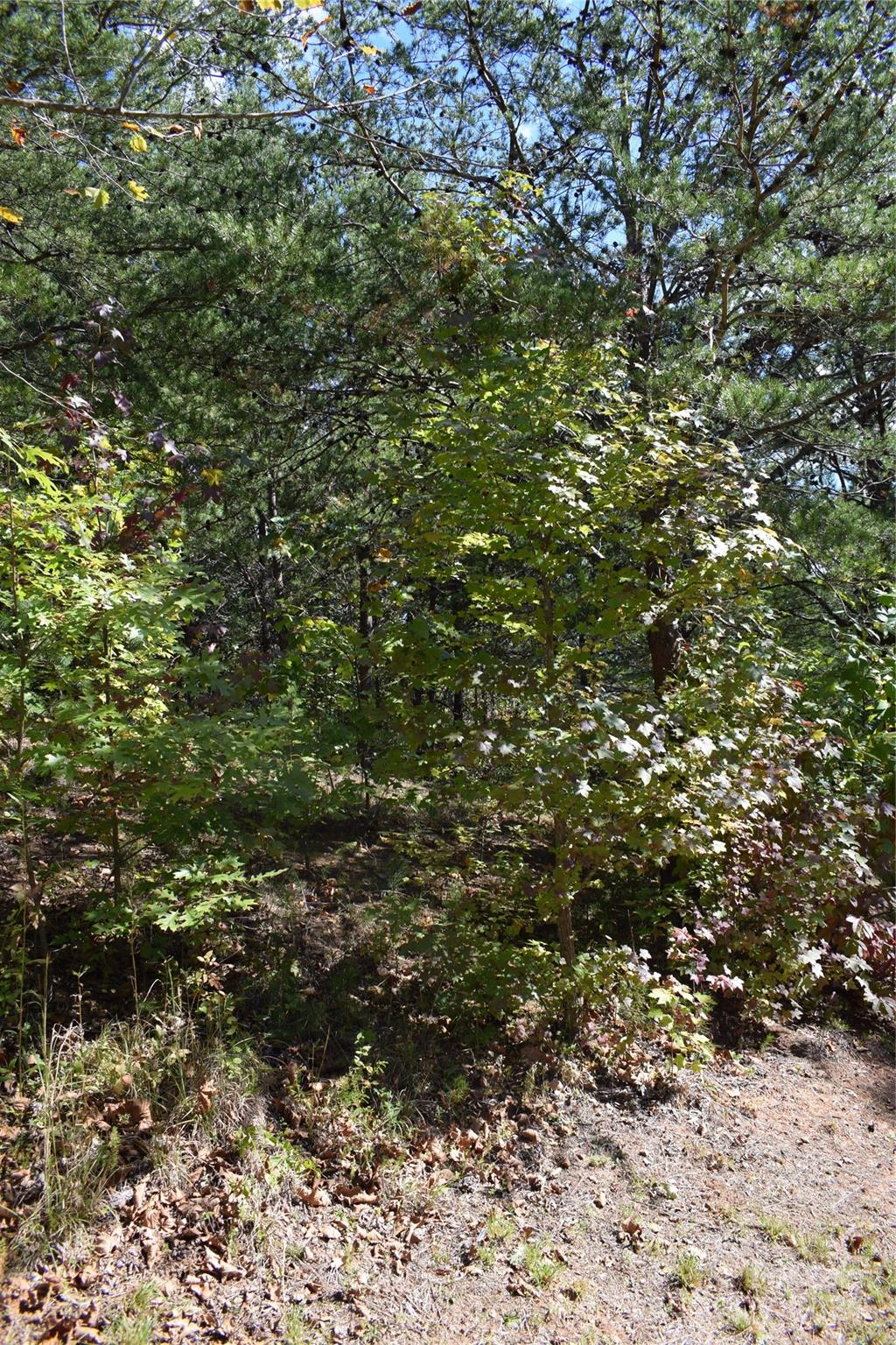 Lot at 0 Holland Drive, Columbus, photo 14 of 16