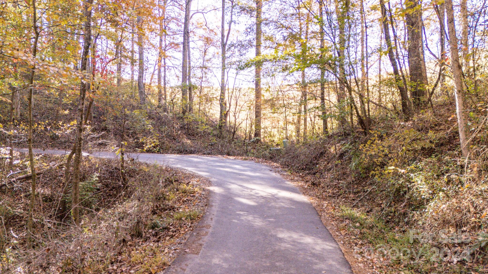 Lot at 00 N Pinnacle Drive, Weaverville, photo 2 of 25