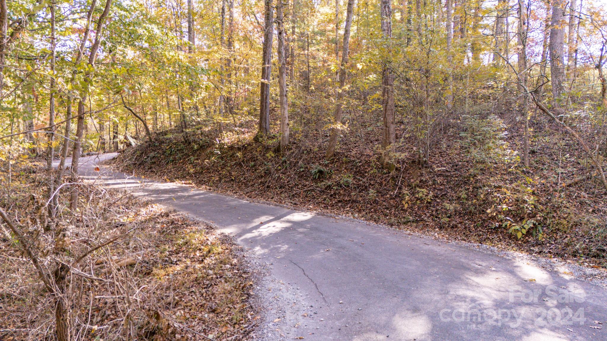 Lot is on both sides of the road - 00 N Pinnacle Drive, Weaverville