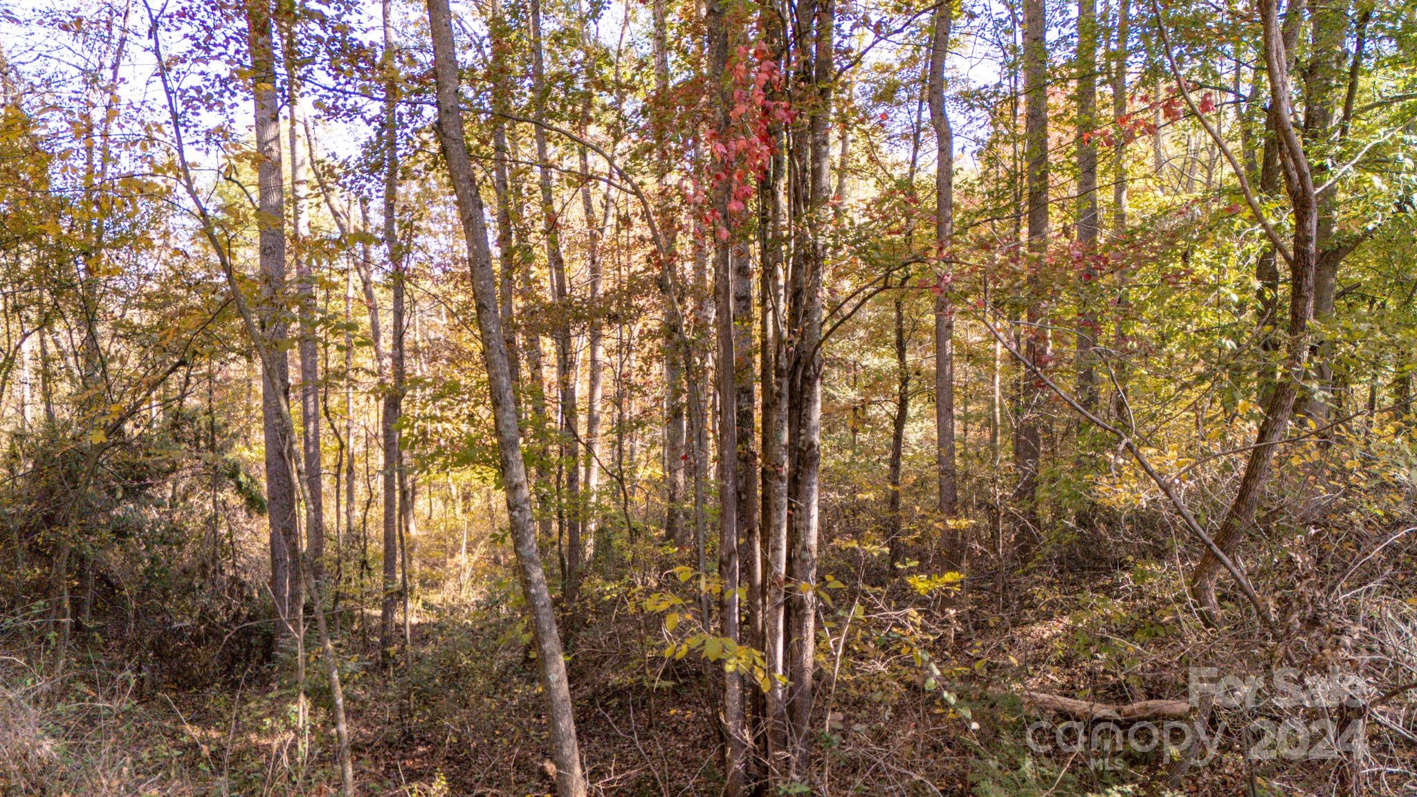 Lot at 00 N Pinnacle Drive, Weaverville, photo 4 of 25