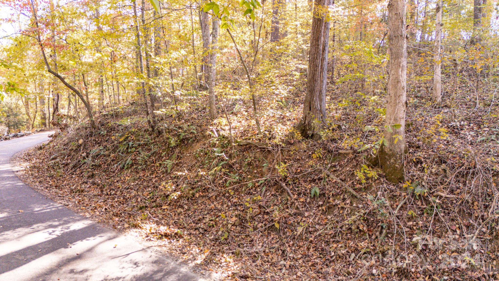Lot at 00 N Pinnacle Drive, Weaverville, photo 7 of 25