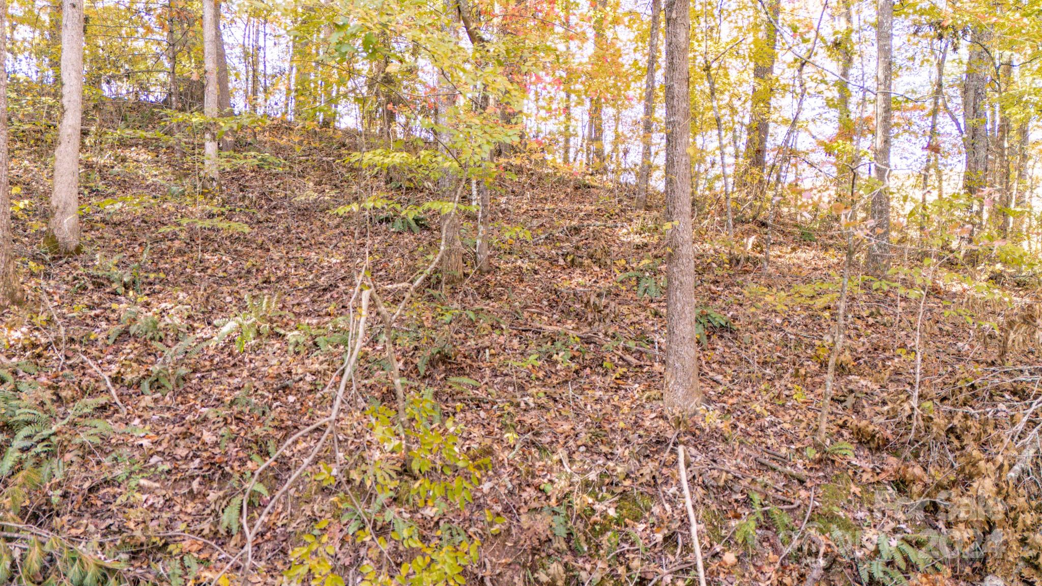 Lot at 00 N Pinnacle Drive, Weaverville, photo 8 of 25