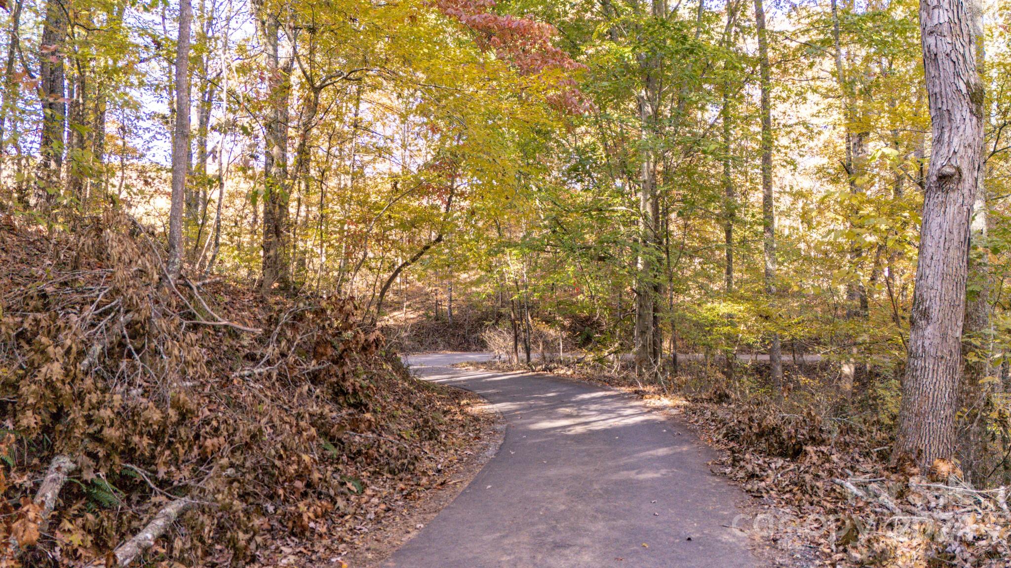 Lot at 00 N Pinnacle Drive, Weaverville, photo 9 of 25