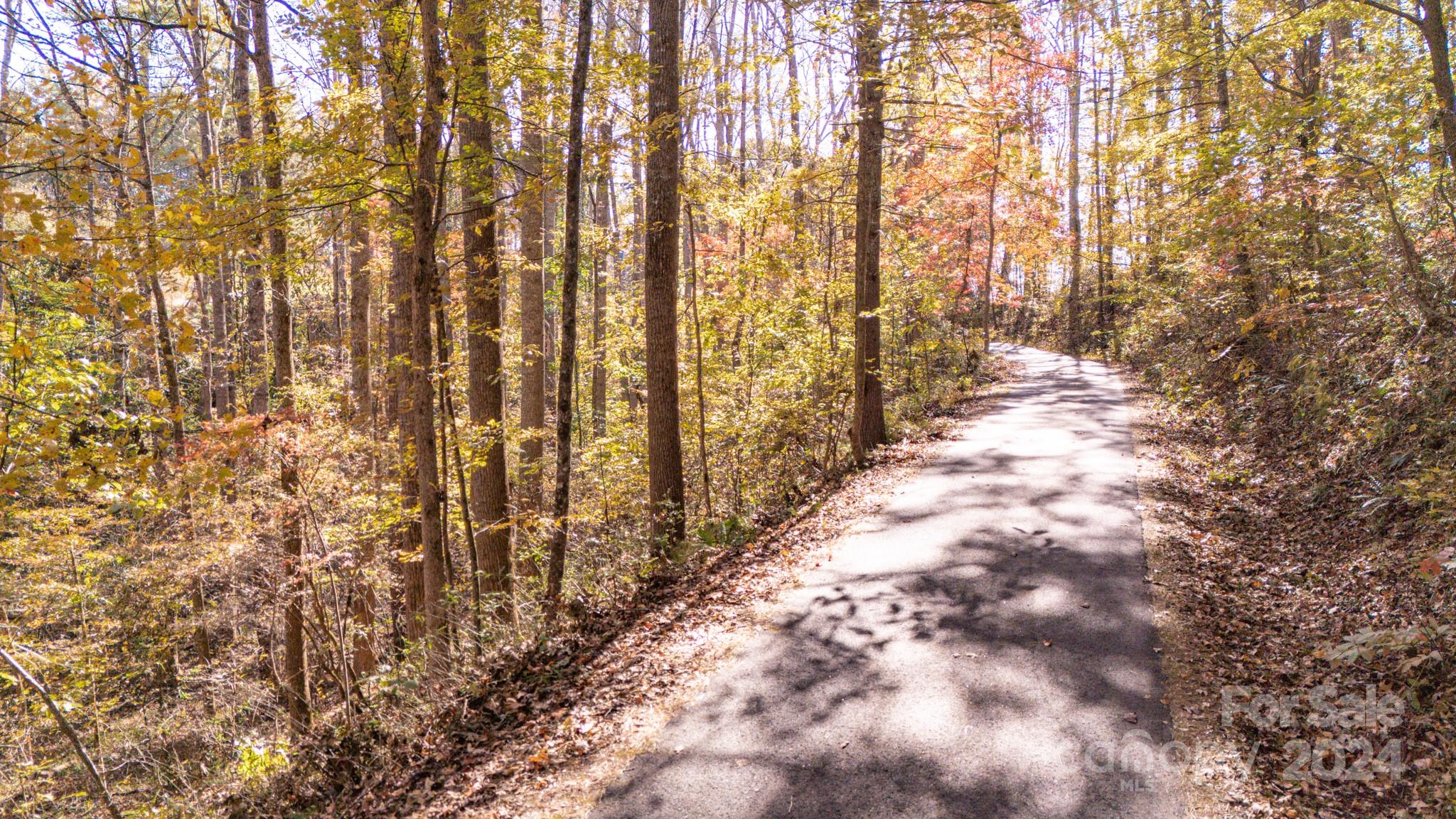 Lot at 00 N Pinnacle Drive, Weaverville, photo 10 of 25