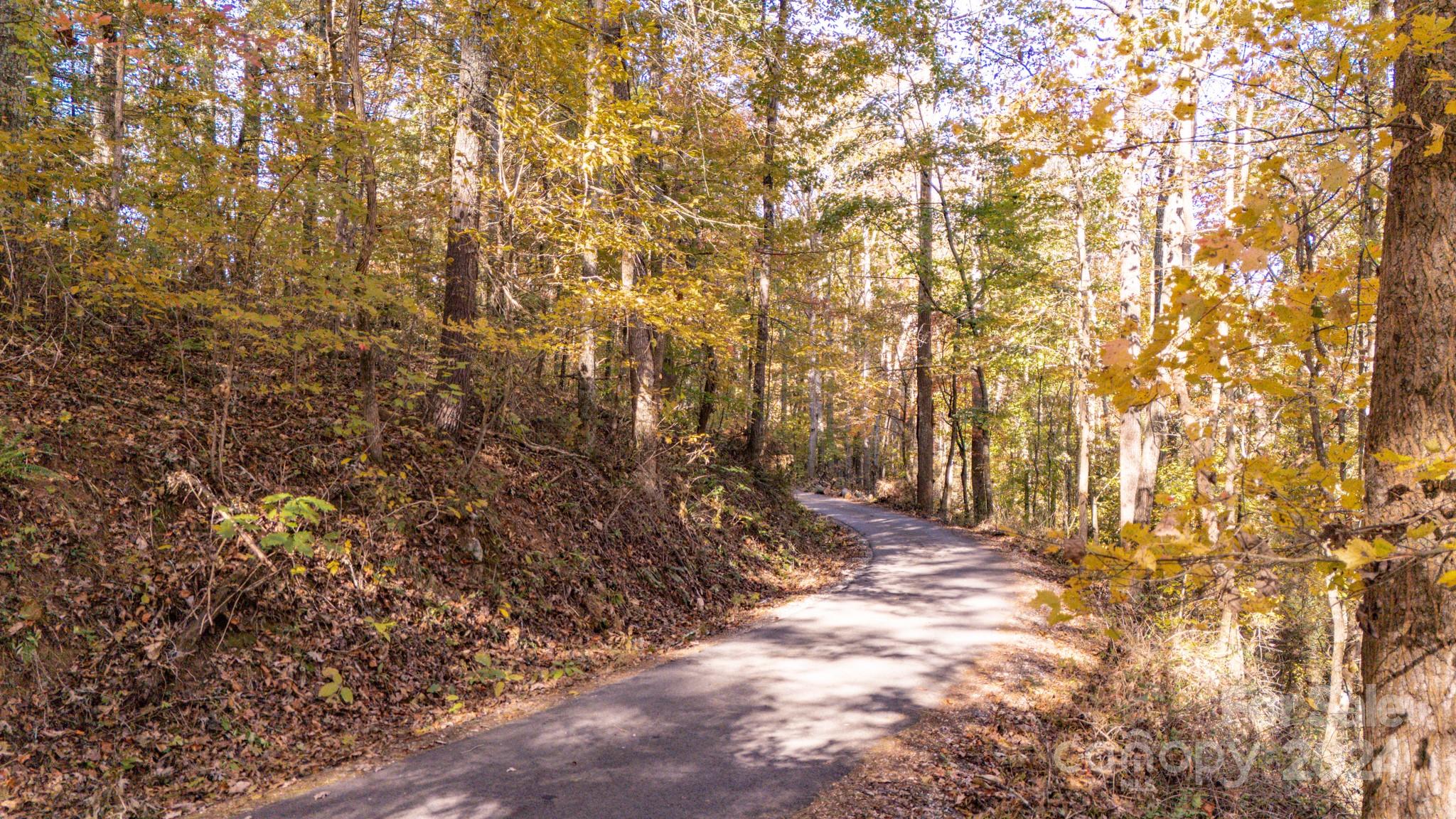Lot at 00 N Pinnacle Drive, Weaverville, photo 11 of 25