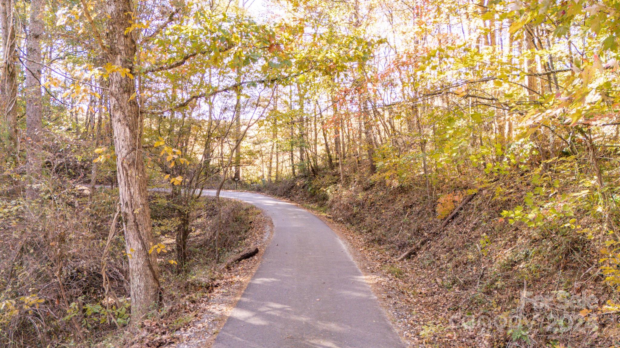 Lot at 00 N Pinnacle Drive, Weaverville, photo 12 of 25