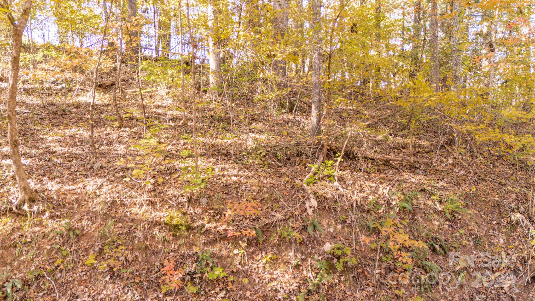 Lot at 00 N Pinnacle Drive, Weaverville, photo 13 of 25