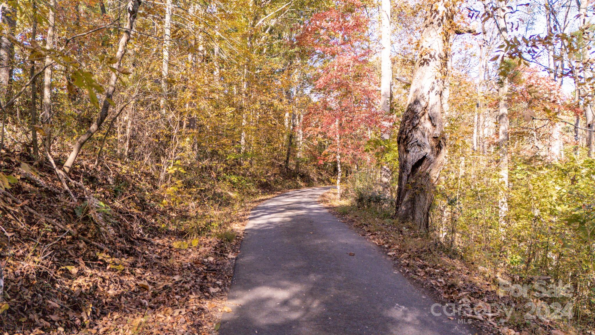 Lot at 00 N Pinnacle Drive, Weaverville, photo 15 of 25
