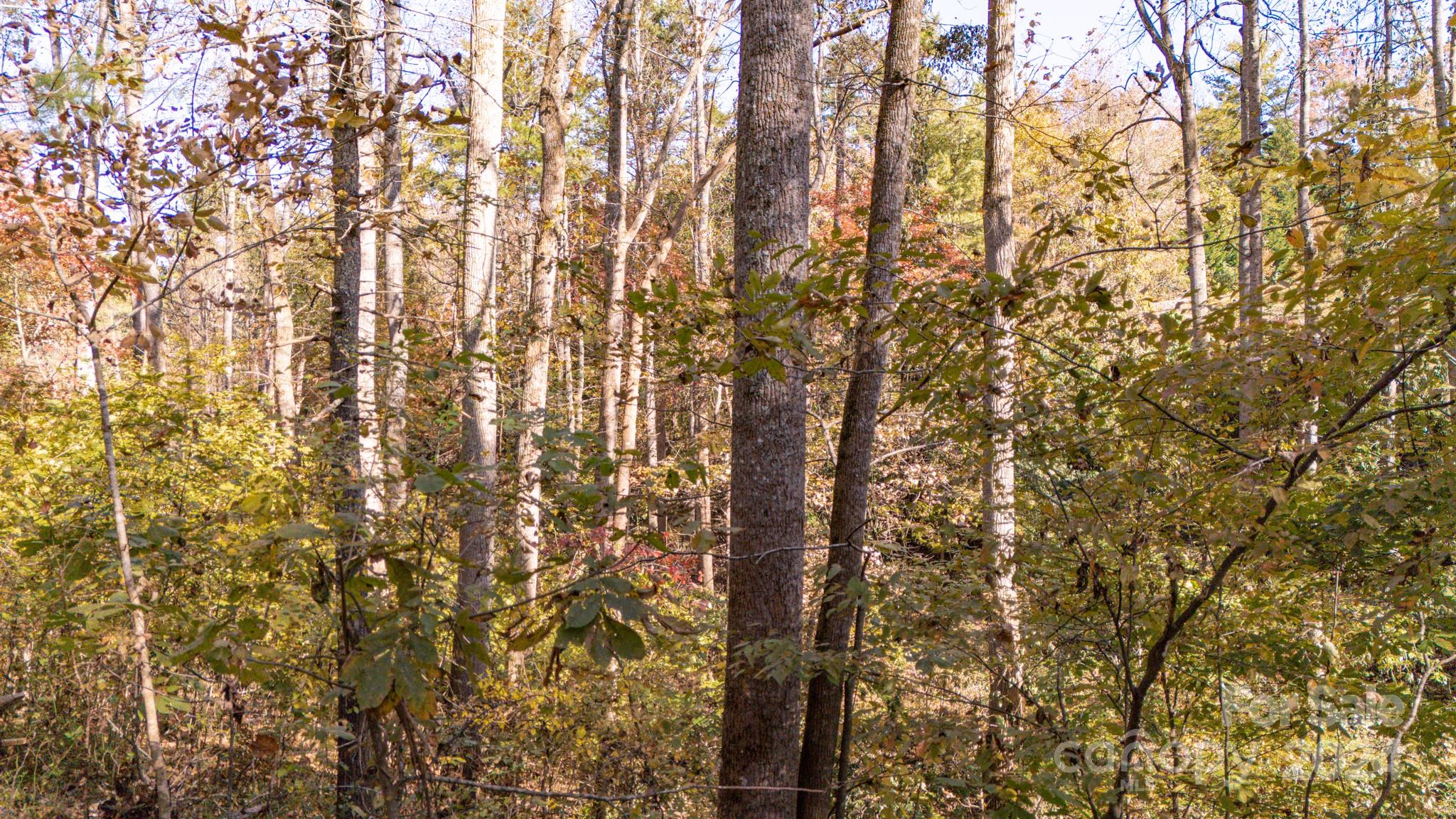 Lot at 00 N Pinnacle Drive, Weaverville, photo 16 of 25