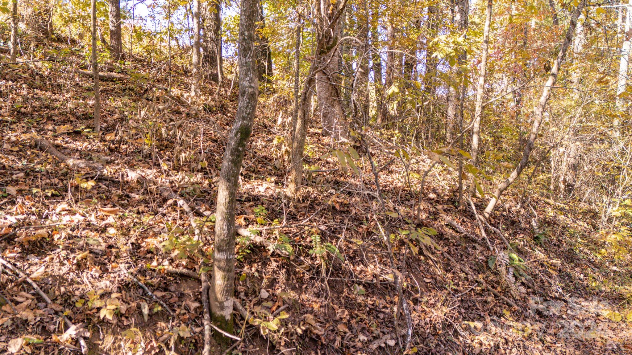 Lot at 00 N Pinnacle Drive, Weaverville, photo 17 of 25