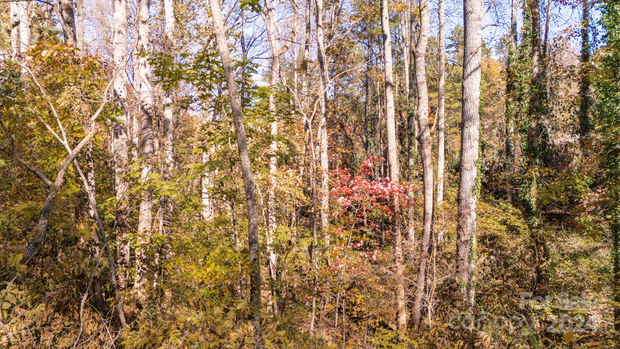 Lot at 00 N Pinnacle Drive, Weaverville, photo 19 of 25