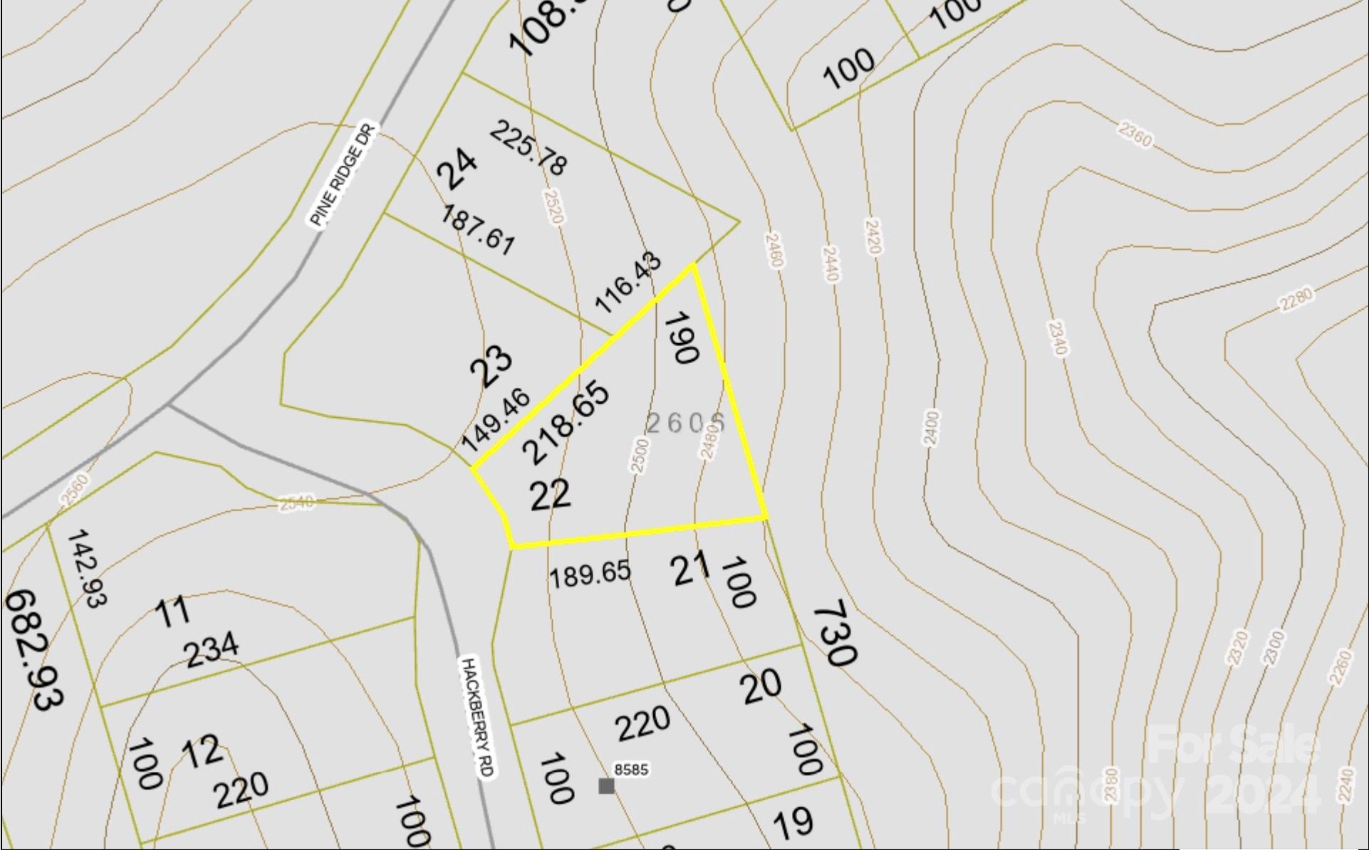 Topo - 22 Hackberry Road, Connelly Springs